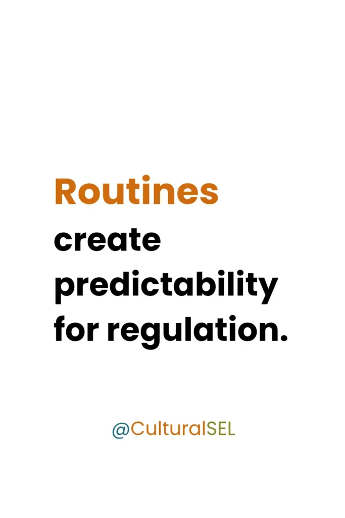Self-management in SEL showing how routines create predictability and support regulation. Culturally Responsive Social Emotional Learning (SEL)